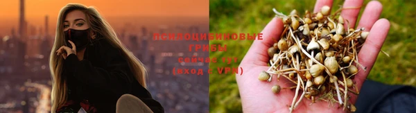 марихуана Касимов