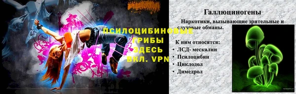 МДПВ Карпинск