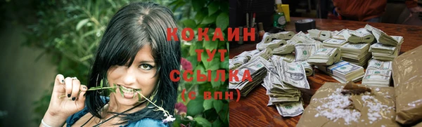 МДПВ Карпинск