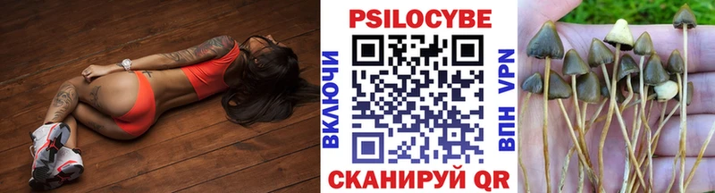 Купить закладки  Зеленоградск  Галлюциногенные грибы Magic Shrooms 